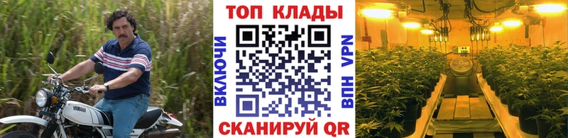 Где найти наркотики Ядрин Гашиш Cocaine АМФ Конопля МЕФ