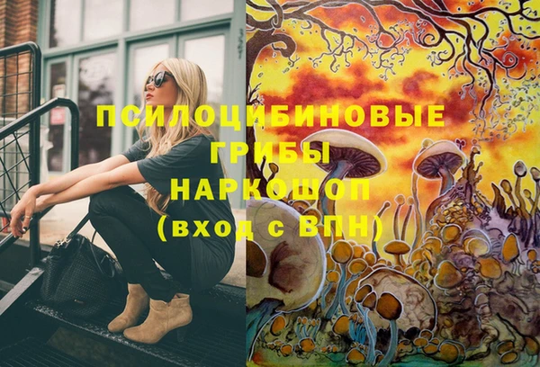 твердый Новочеркасск